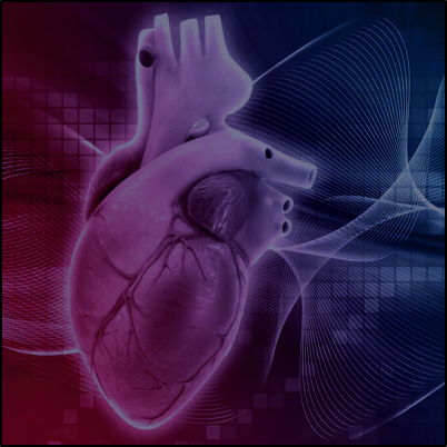 Risk Adjustment and Hierarchical Condition Category (HCC)